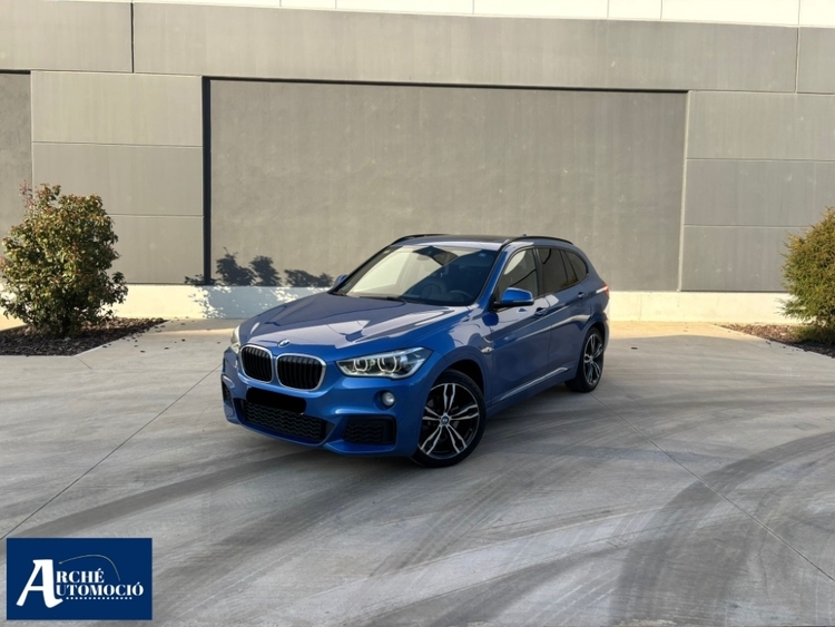 BMW Serie X1 xDrive 18d foto miniatura